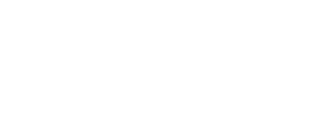 The Label Sameer Sabri